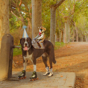 DSCF0660 DIGITAL PRODUCT